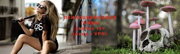МДМА Арсеньев