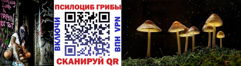 Псилоцибиновые грибы мухоморы  Ханты-Мансийск 